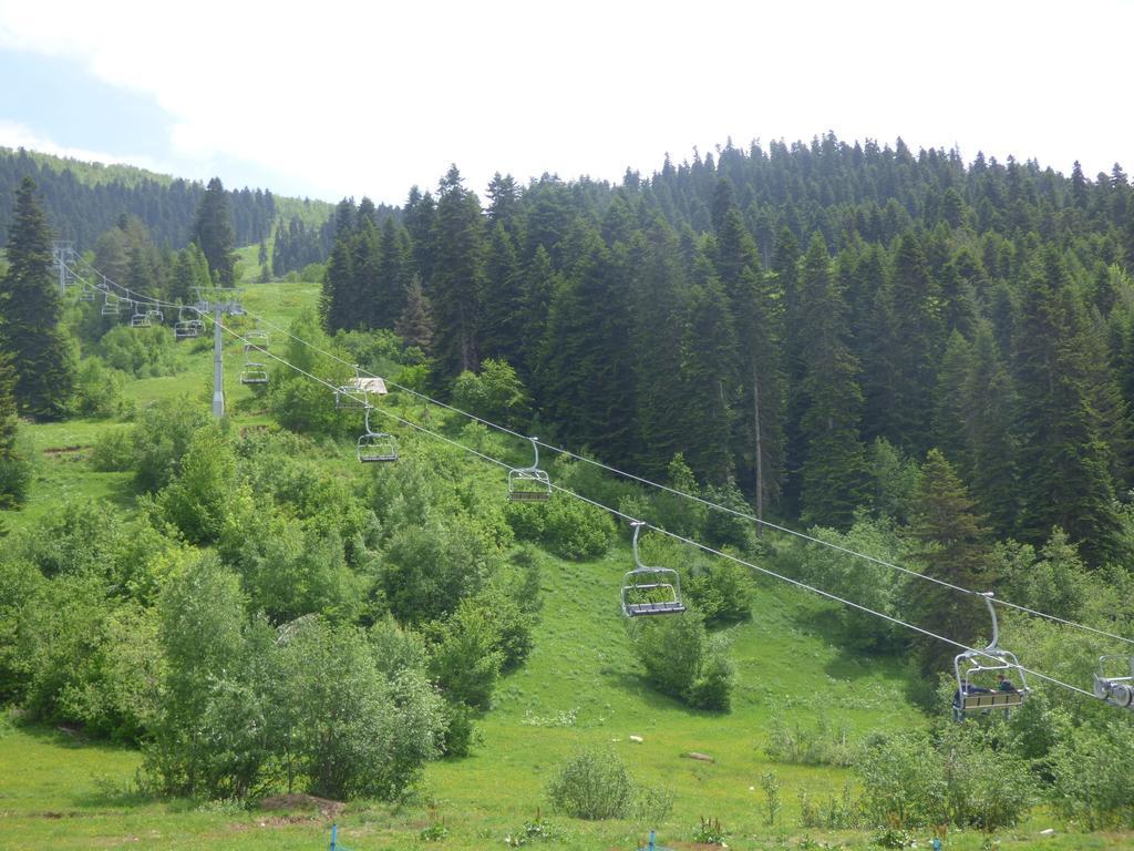 Hotel Hatsvali Mestia Pokoj fotografie